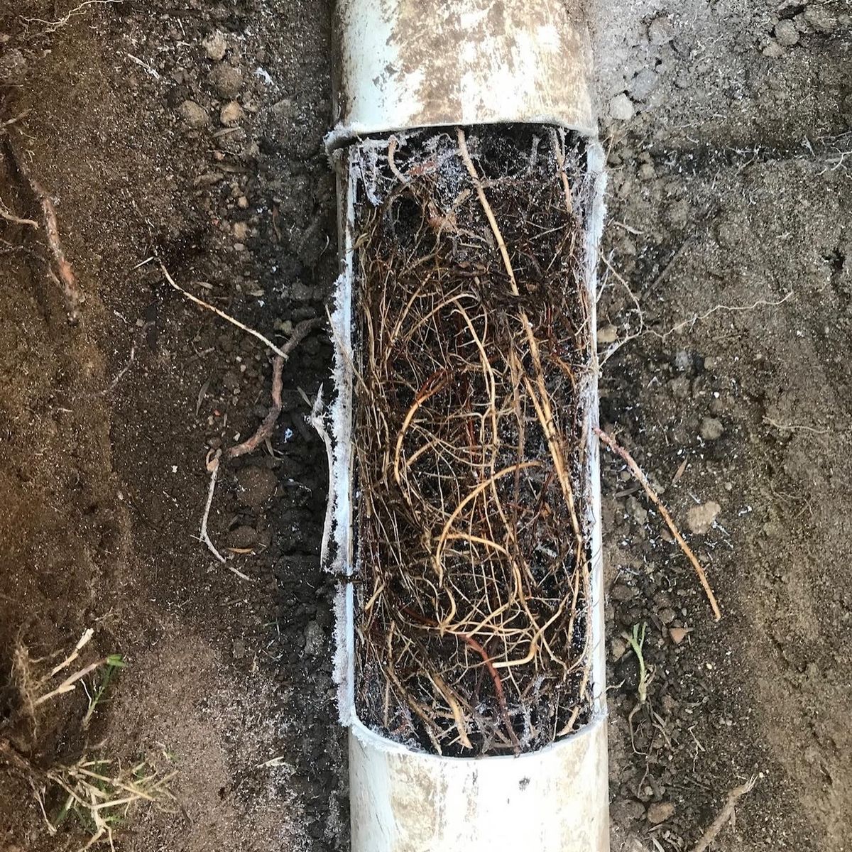 Plumbing maintenance and repair — Davidson Plumbing and Gas, Adelaide